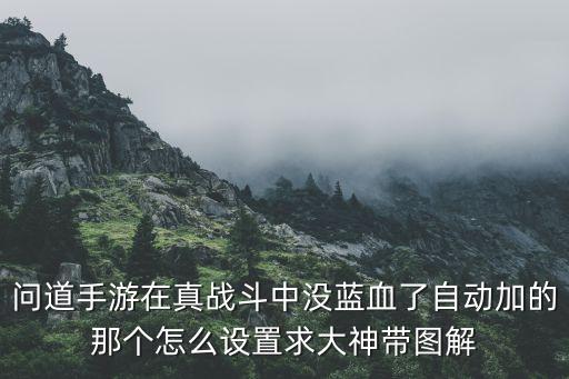 问道手游在真战斗中没蓝血了自动加的那个怎么设置求大神带图解