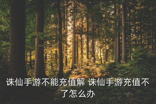 诛仙手游不能充值解 诛仙手游充值不了怎么办