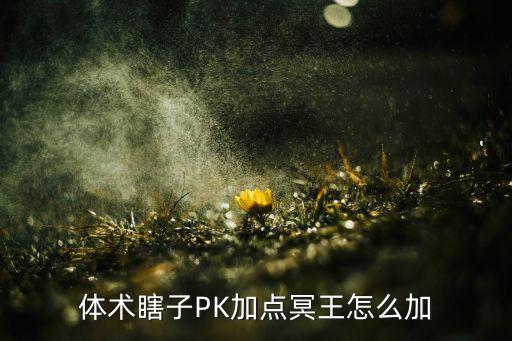 体术瞎子PK加点冥王怎么加