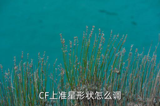 CF上准星形状怎么调