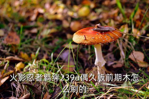 火影忍者羁绊239a偶久版前期木怎么刷的