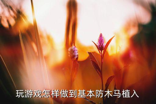 玩游戏怎样做到基本防木马植入