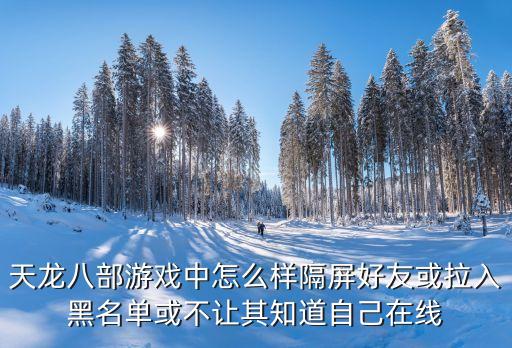 天龙八部游戏中怎么样隔屏好友或拉入黑名单或不让其知道自己在线