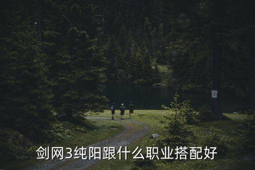 剑网3纯阳跟什么职业搭配好