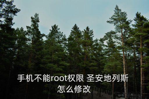 手机不能root权限 圣安地列斯 怎么修改