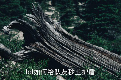 lol手游洛怎么出装给队友加盾，lol如何给队友秒上护盾