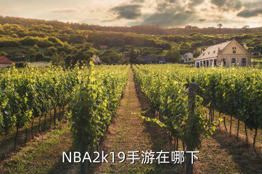 NBA2k19手游在哪下