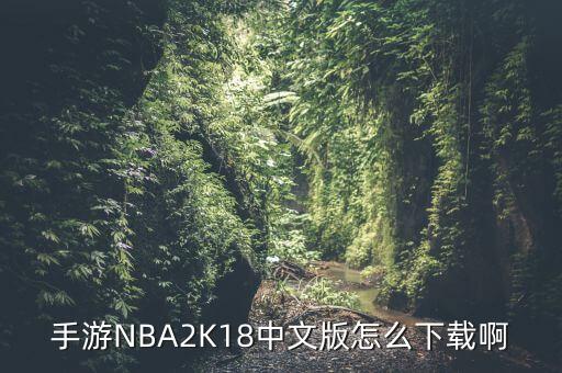 手游NBA2K18中文版怎么下载啊