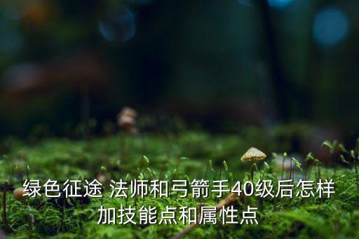 绿色征途 法师和弓箭手40级后怎样加技能点和属性点