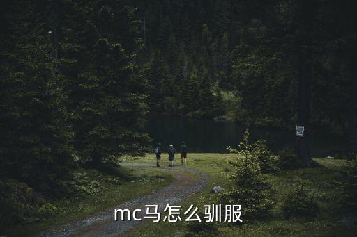 mc马怎么驯服