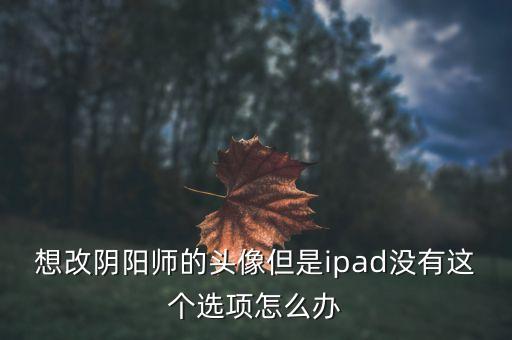 想改阴阳师的头像但是ipad没有这个选项怎么办