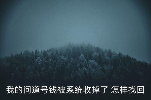 我的问道号钱被系统收掉了 怎样找回