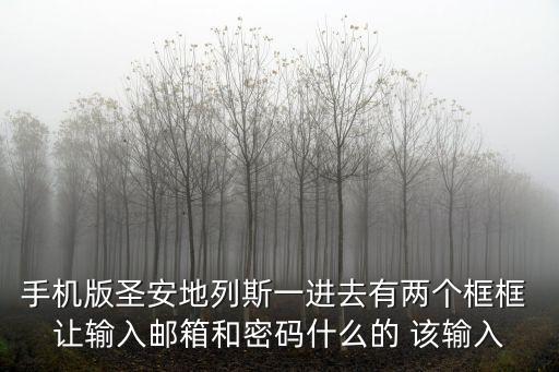 手机版圣安地列斯一进去有两个框框 让输入邮箱和密码什么的 该输入