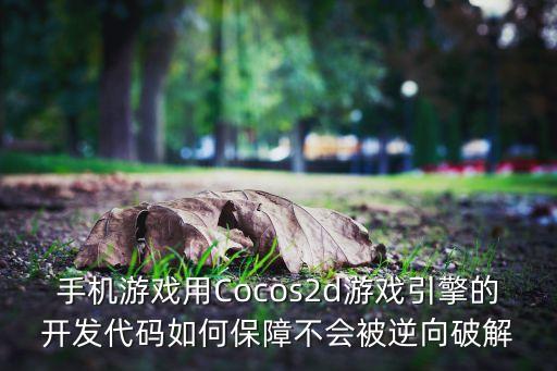 手机游戏用Cocos2d游戏引擎的开发代码如何保障不会被逆向破解